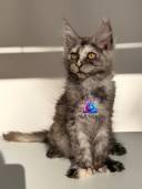 Untitled design - 43