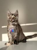 Untitled design - 45