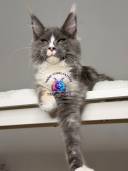 Untitled design - 34