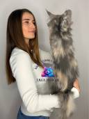 Untitled design - 38