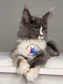 Untitled design - 37