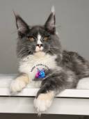 Untitled design - 32