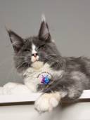 Untitled design - 35