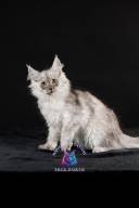 2026_02_28_TNMK_Litter_G&Red Cats_LOGO-39