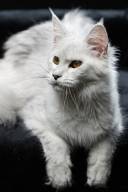 2025_02_14_TNMK_EDITED-101