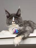 Untitled design - 33