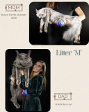 Neutral Rustic Before After Photos Instagram Post (Instagram Post (45)) - 3