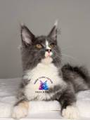 Untitled design - 36